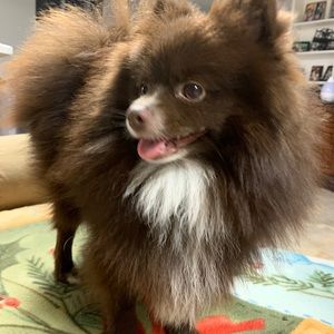 Meet your Posher, Gerardo